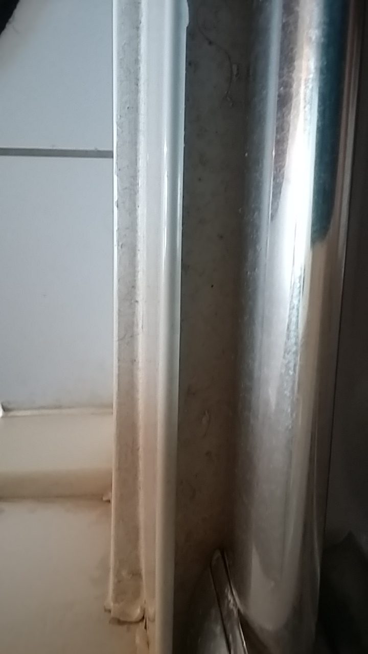 Shower door - before cleaning services