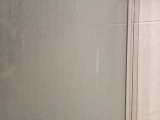 Shower door - before cleaning services