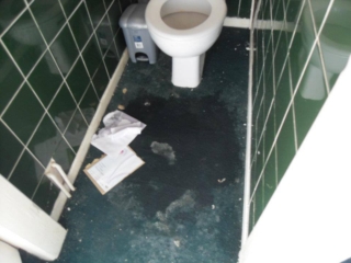 Toilet - before cleaning services