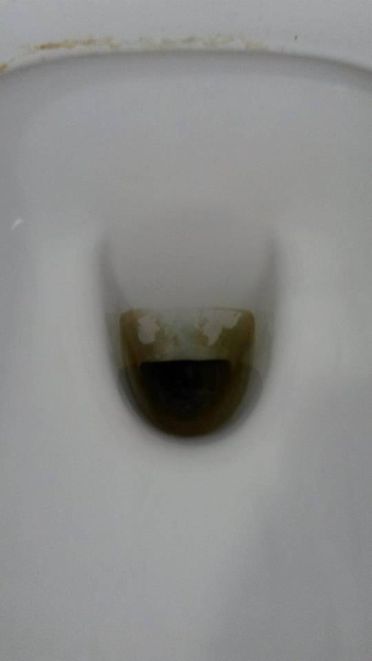 Toilet bowl - before cleaning services