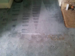 Carpet cleaning - before and after - gray carpet
